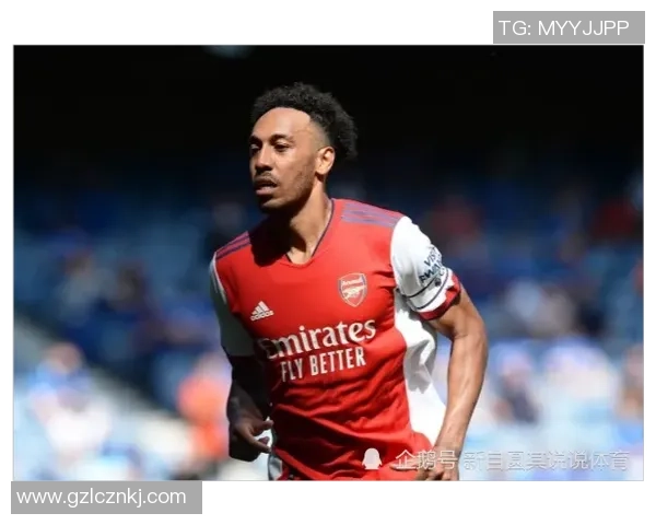 足球球星深度采访揭示赛场背后的故事与心路历程